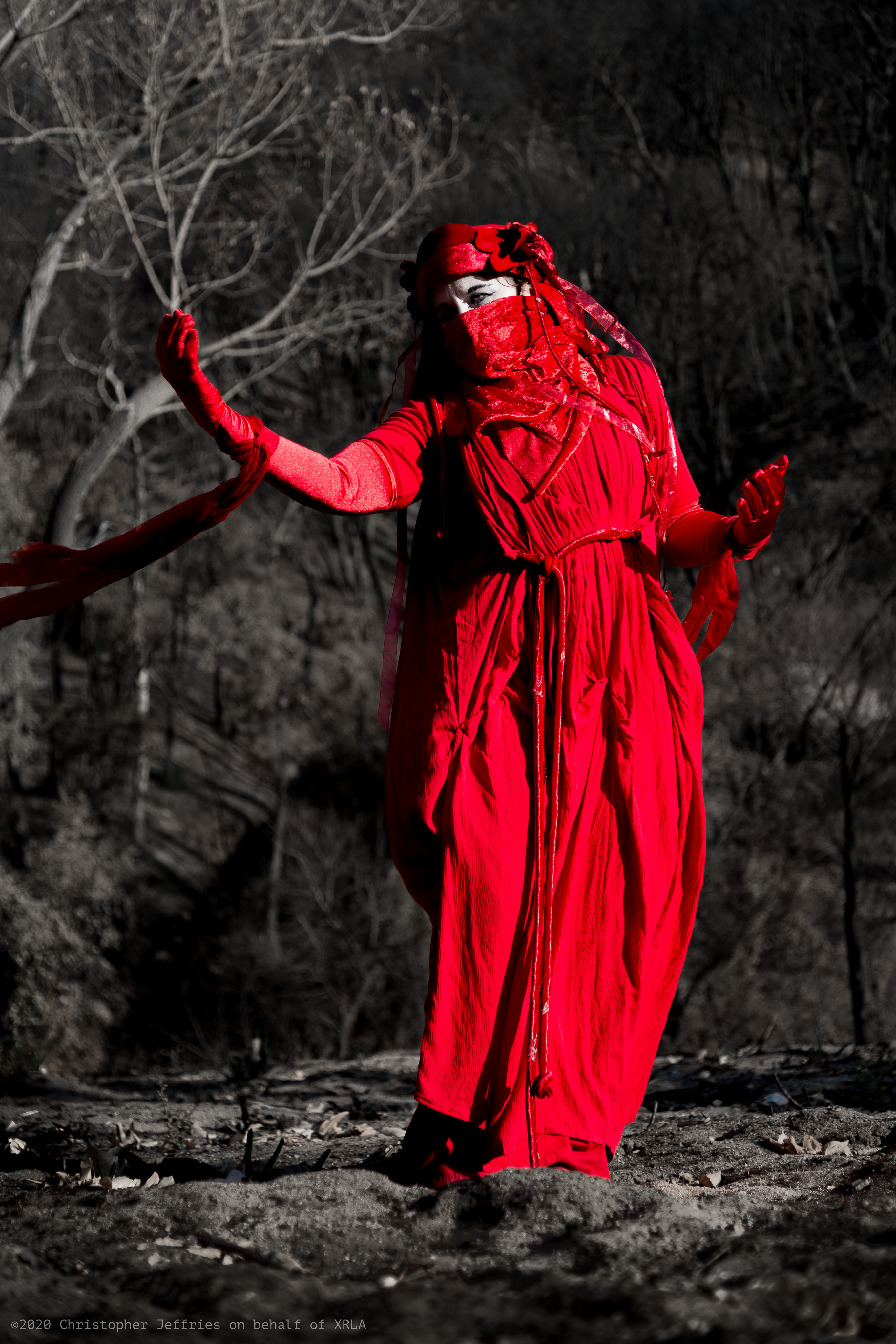 Red Rebel Brigade image 2