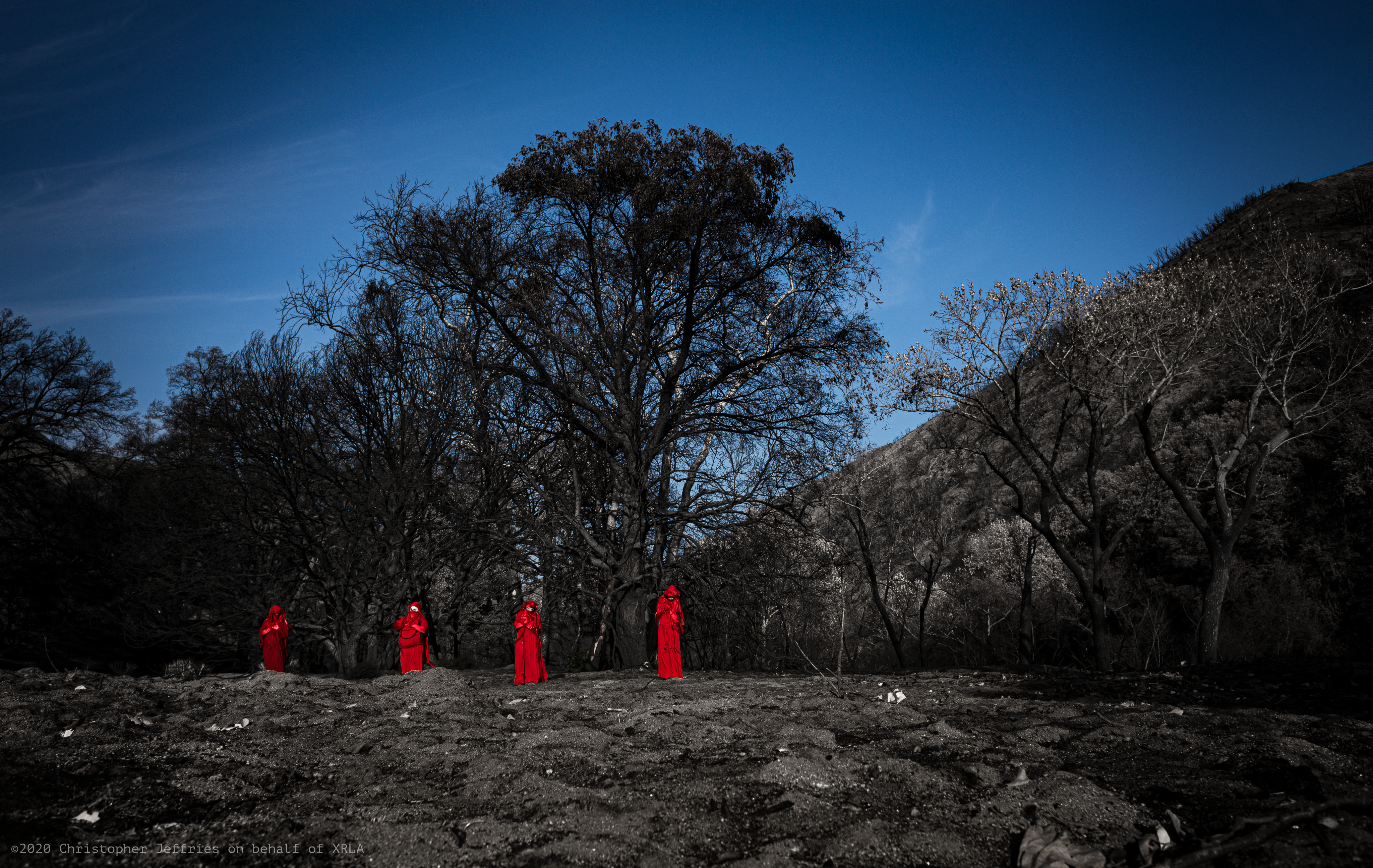 Red Rebel Brigade image 11