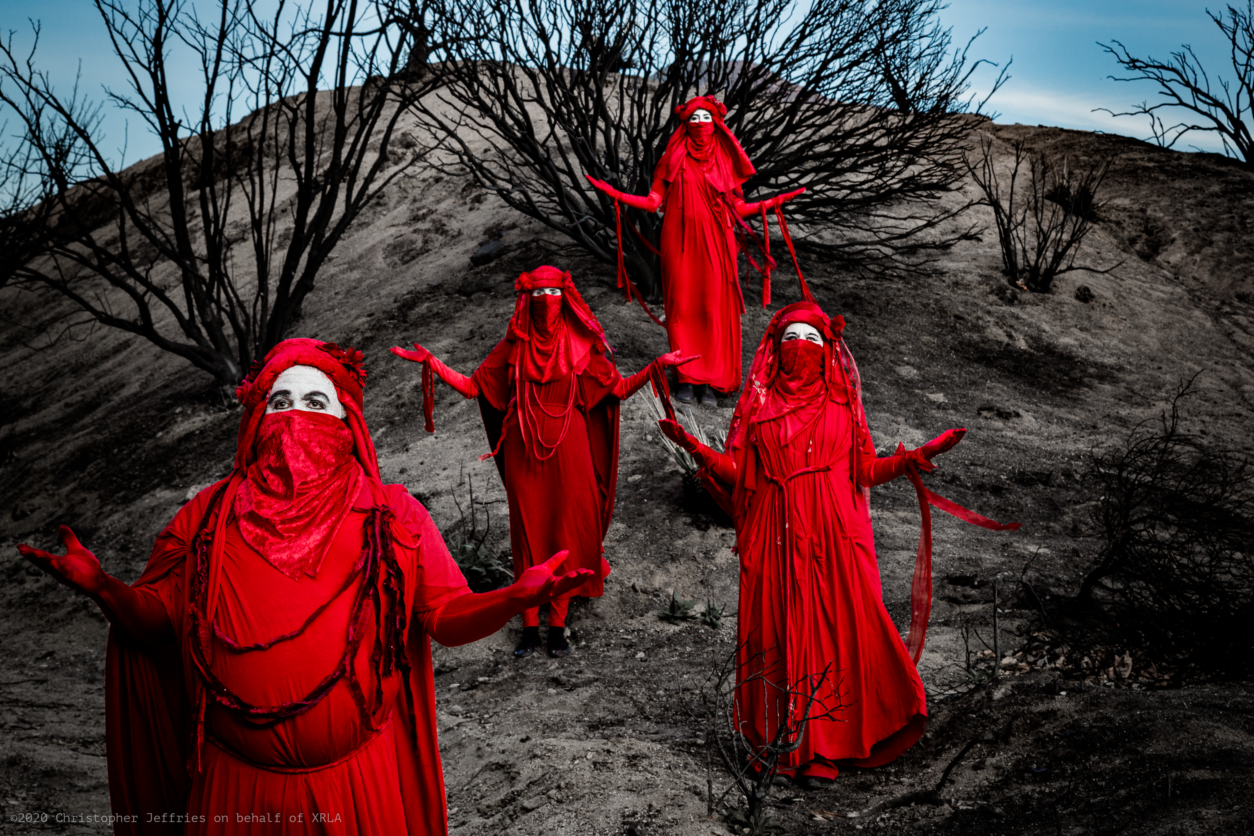 Red Rebel Brigade image 3