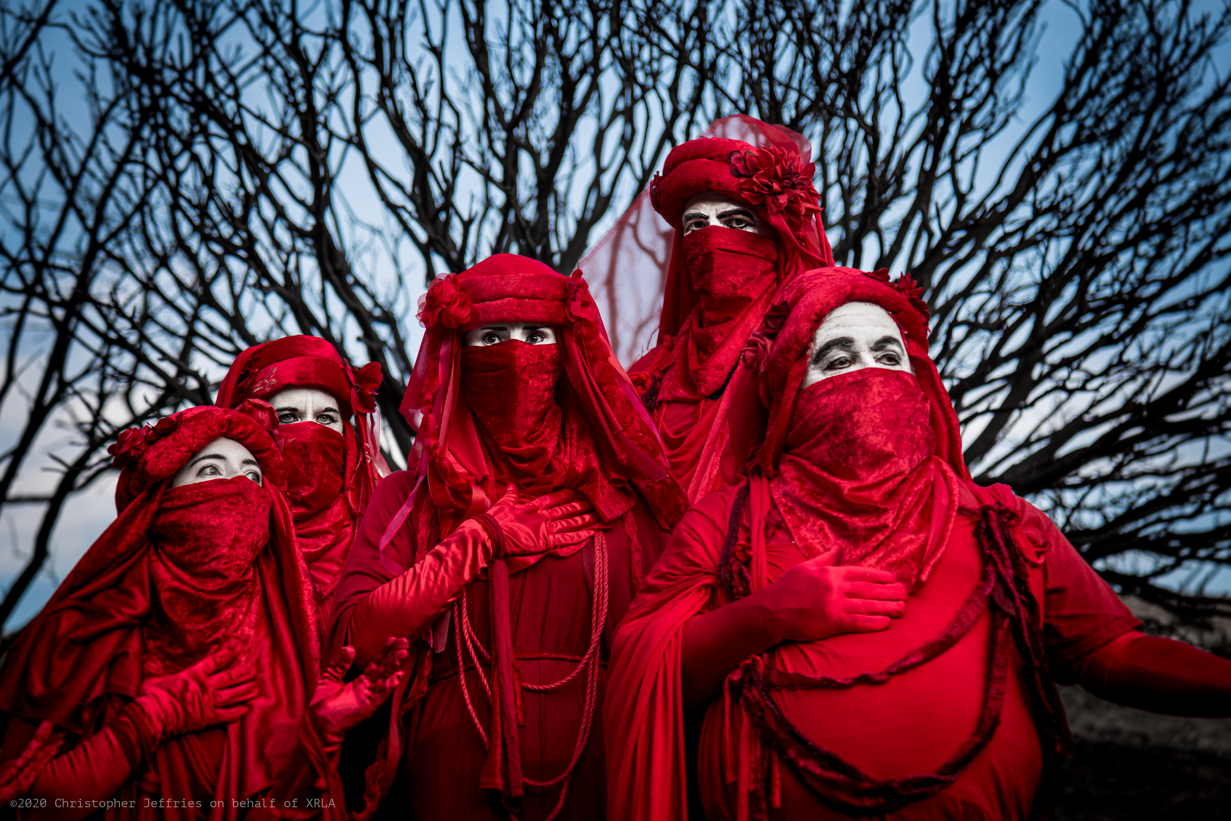 Red Rebel Brigade image 4