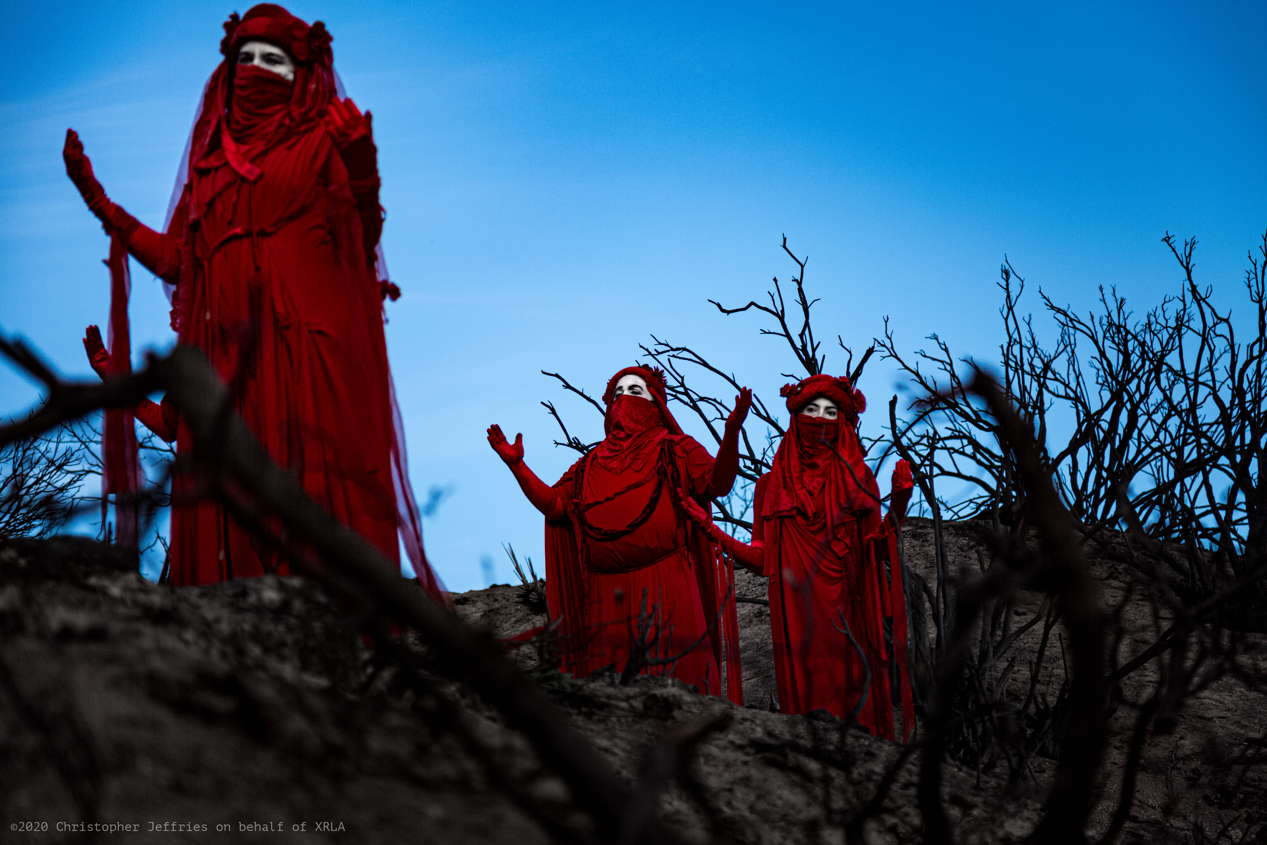 Red Rebel Brigade image 6