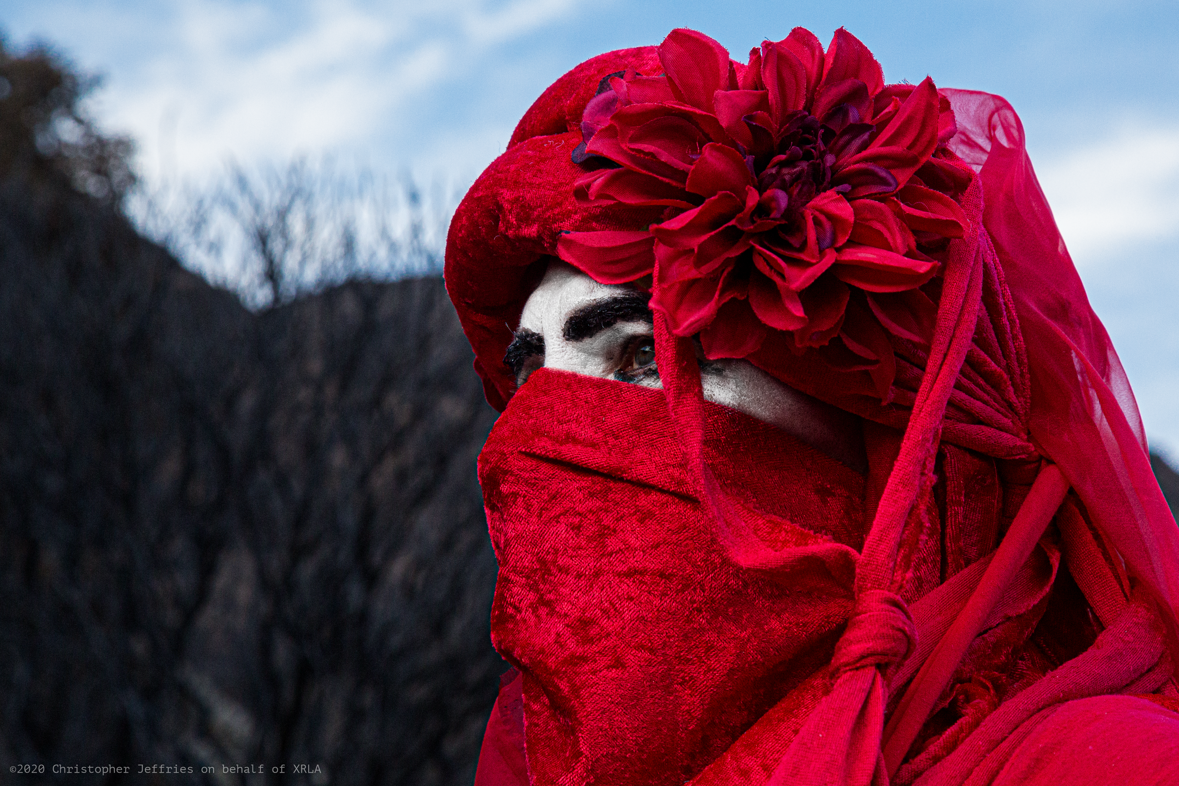 Red Rebel Brigade image 9
