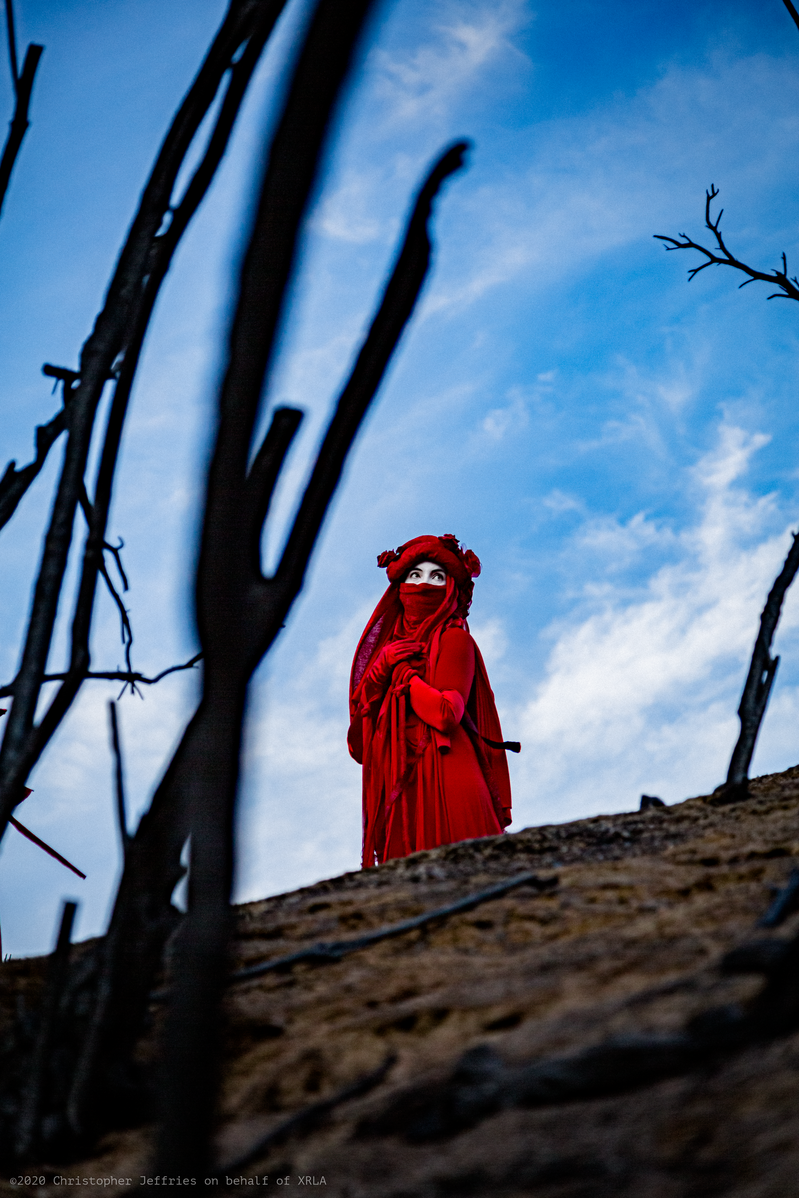 Red Rebel Brigade image 10