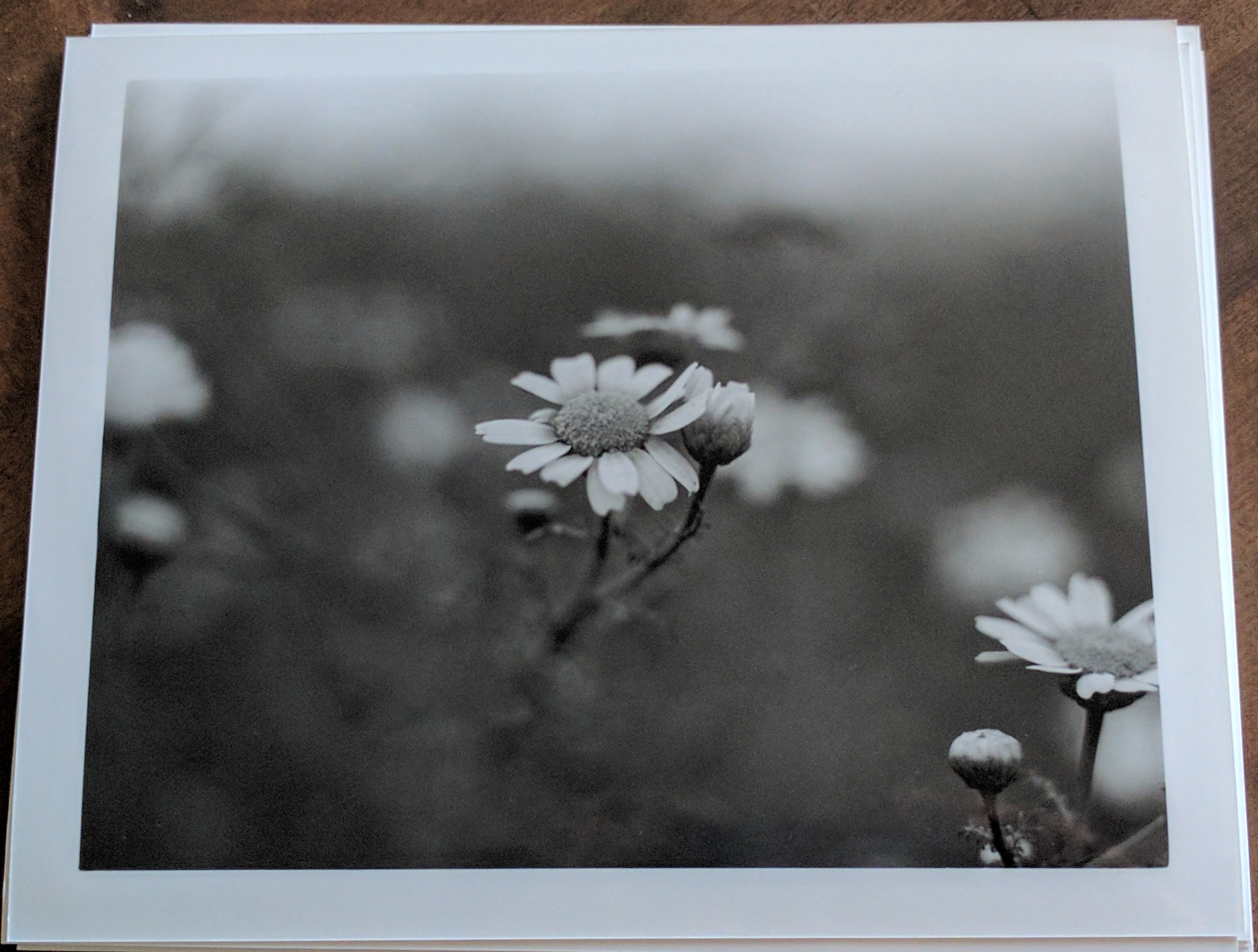 Darkroom Sessions Vol. 01