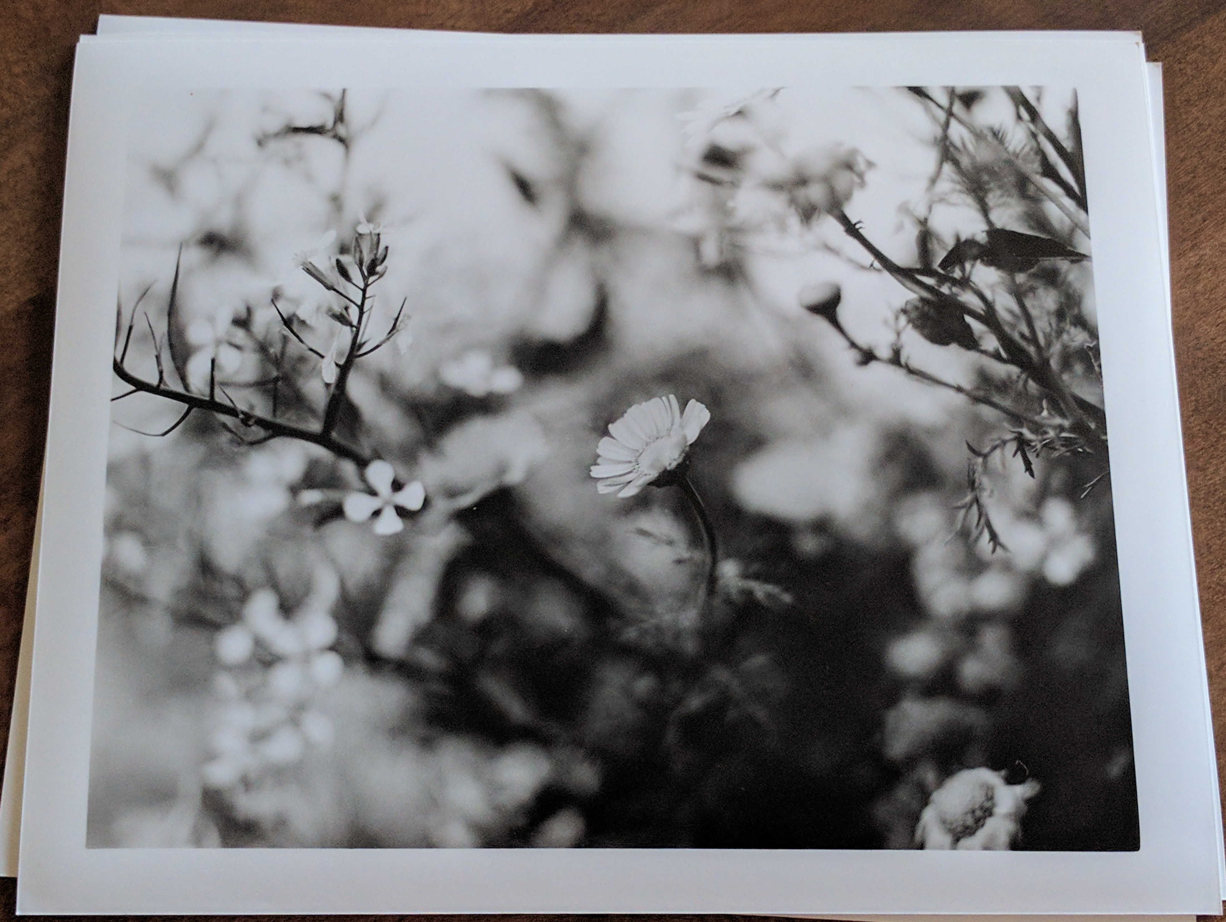 Darkroom Sessions Vol. 01