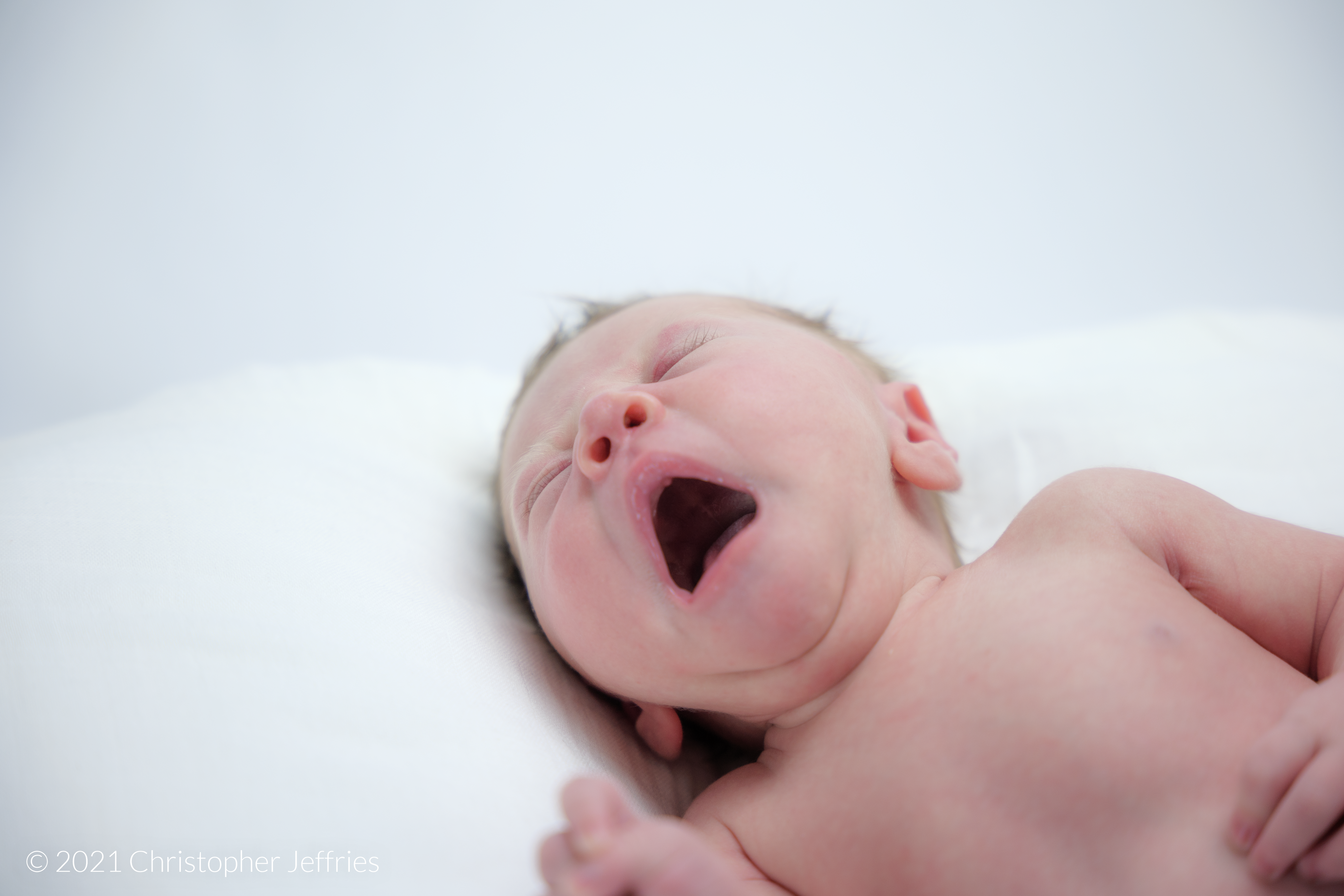 Project Aurora: First Look