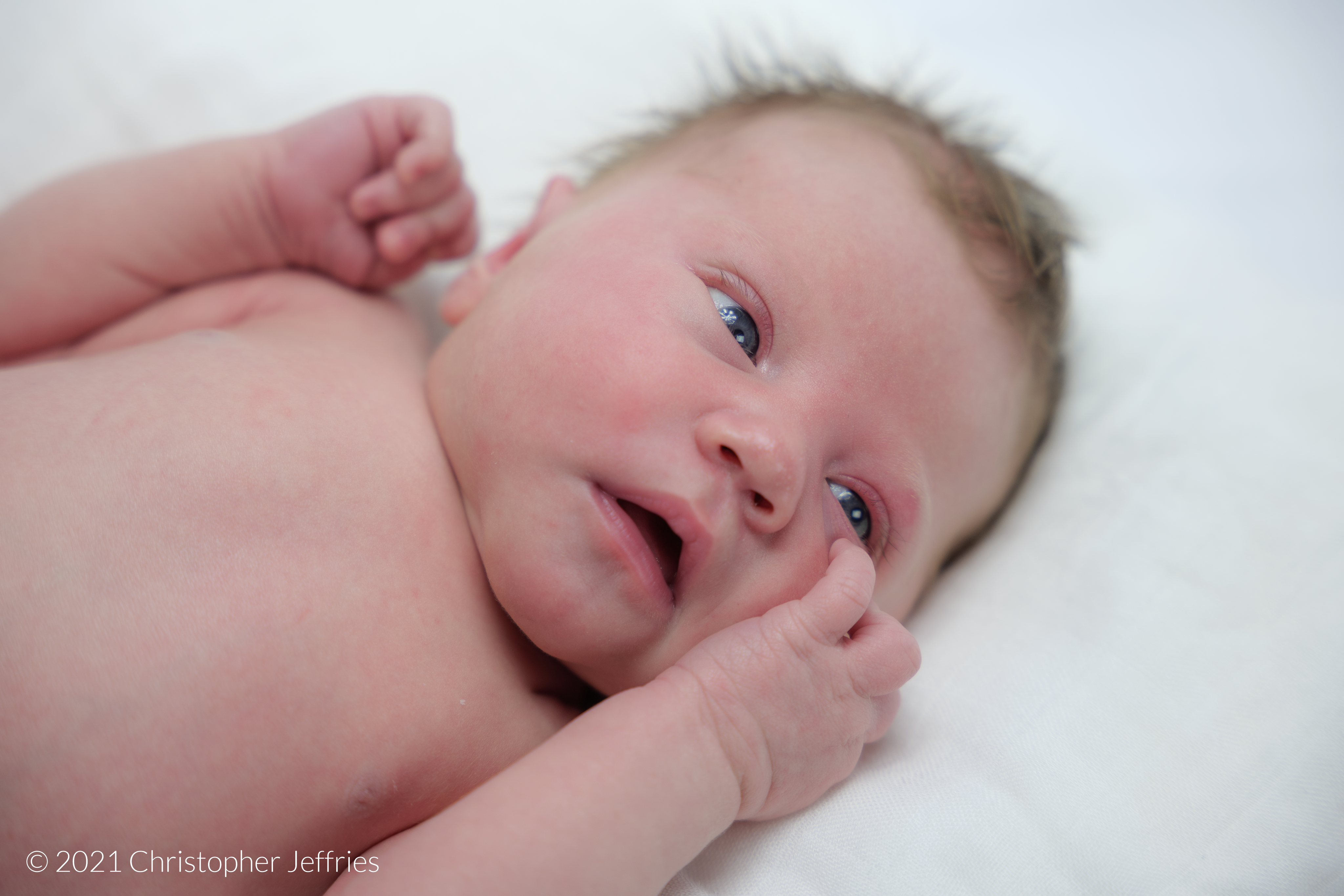 Project Aurora: First Look