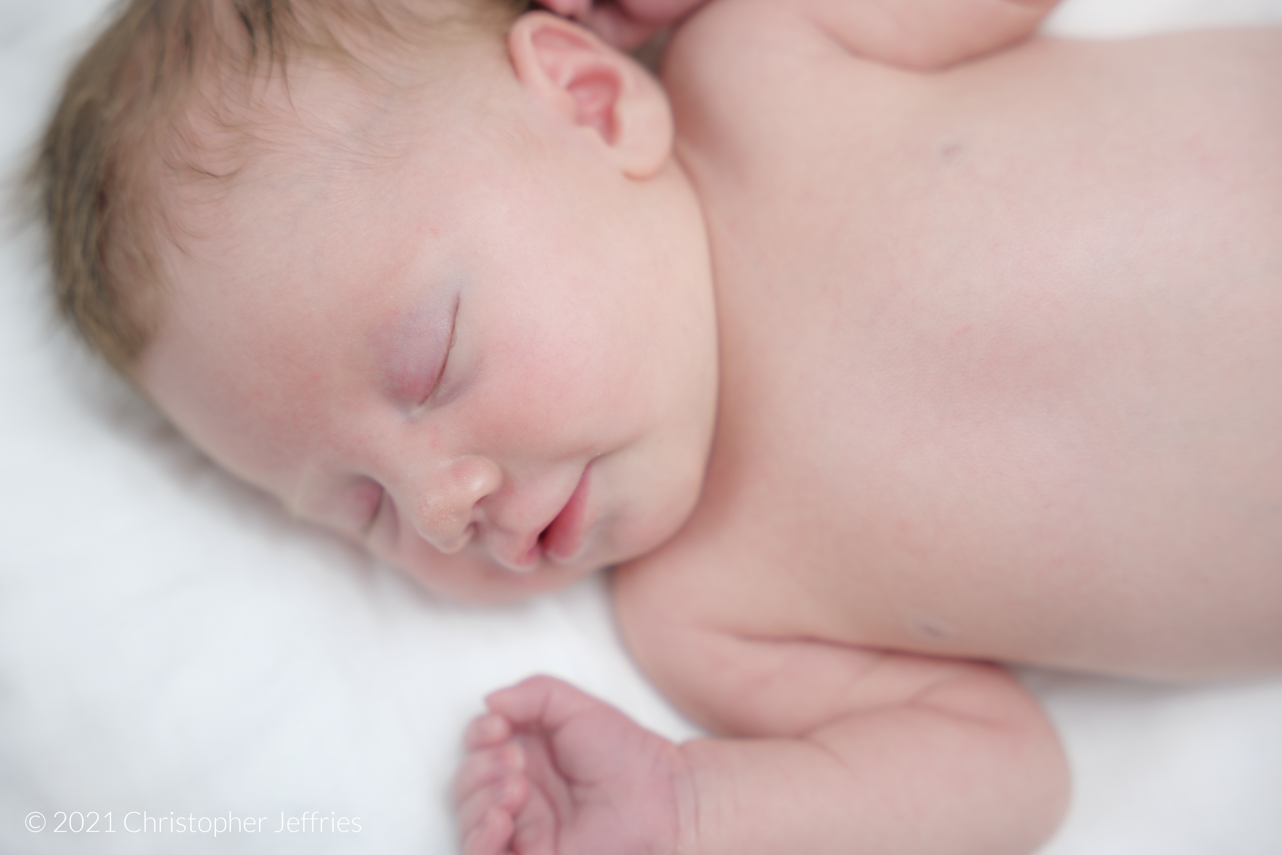 Project Aurora: First Look