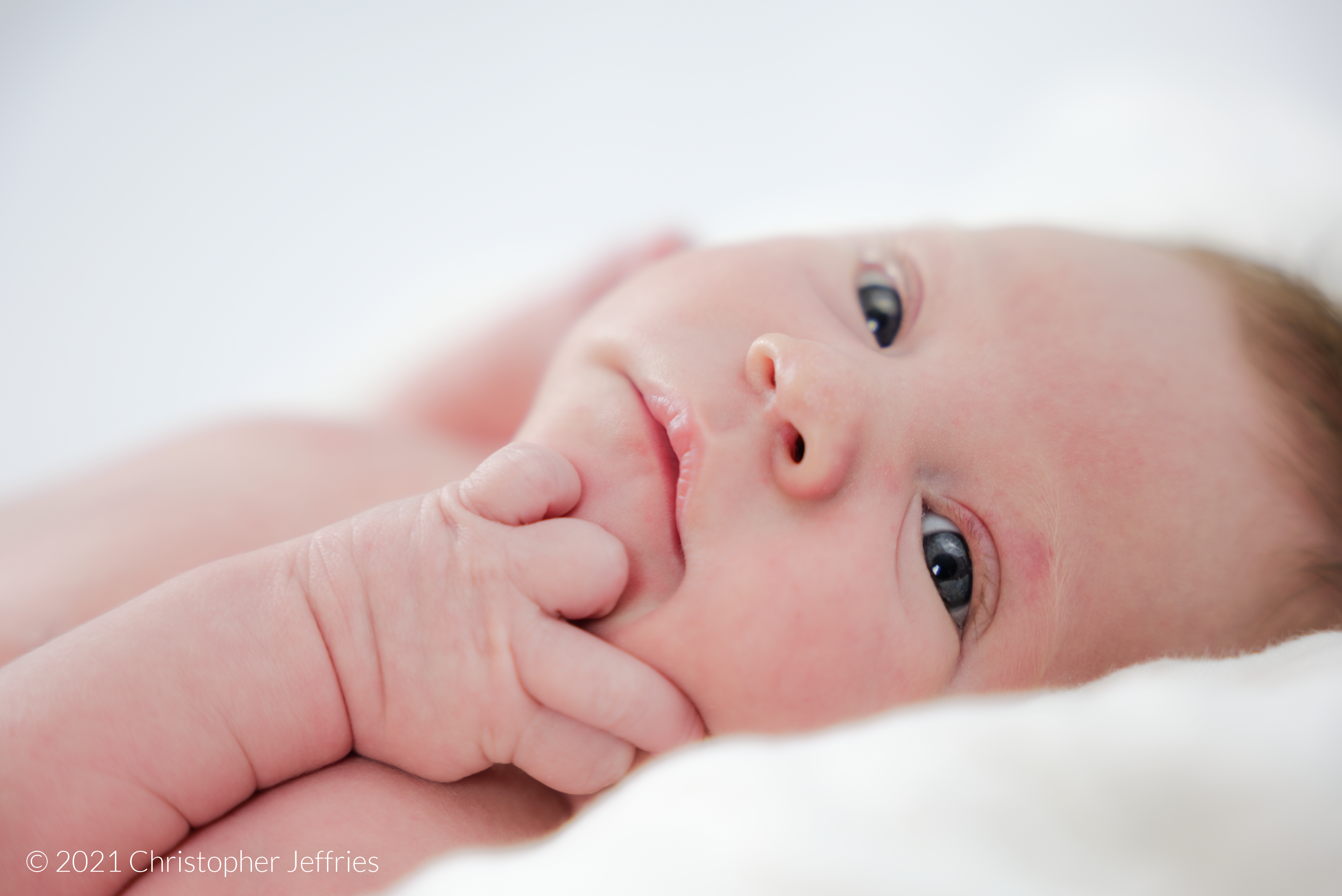 Project Aurora: First Look