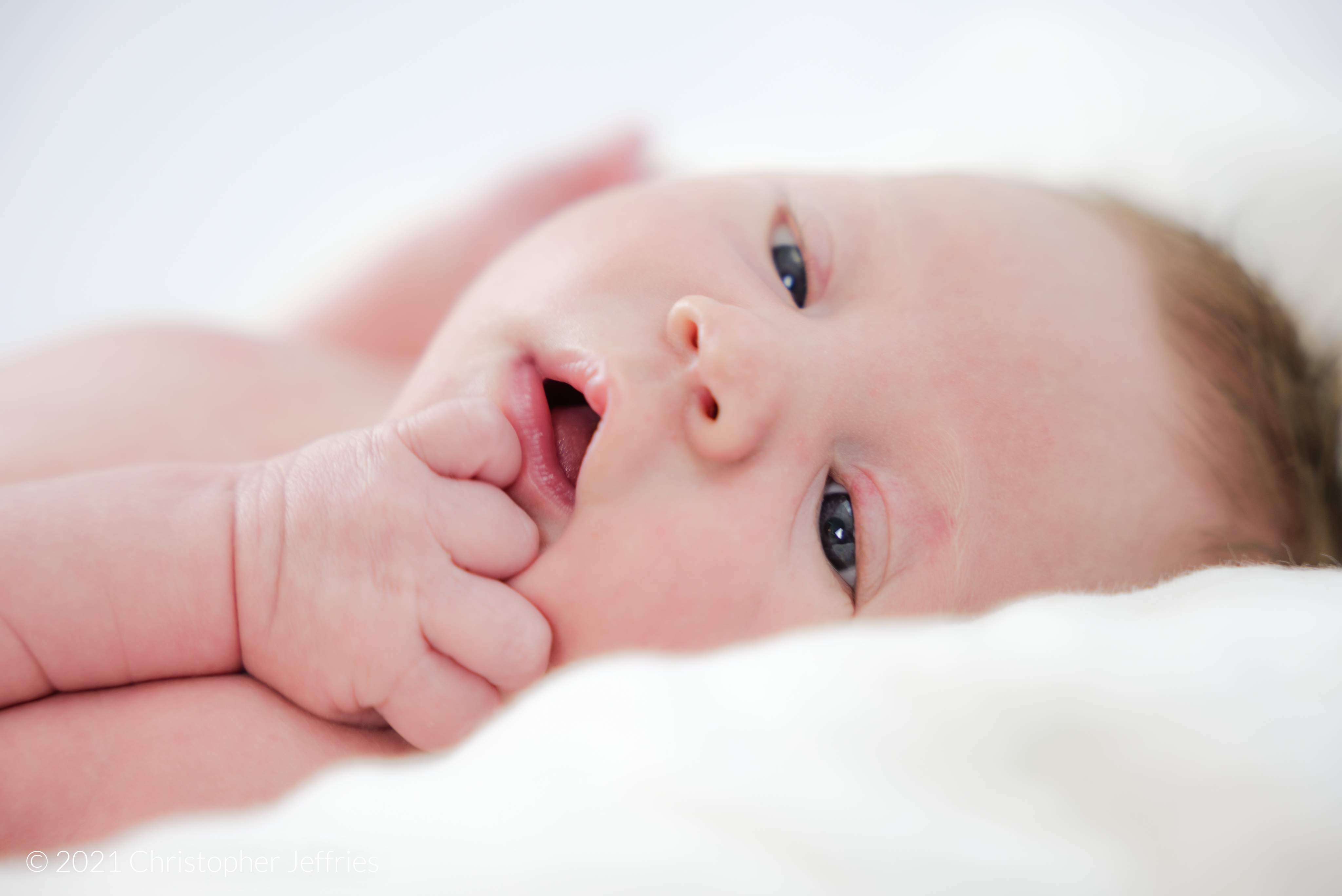 Project Aurora: First Look