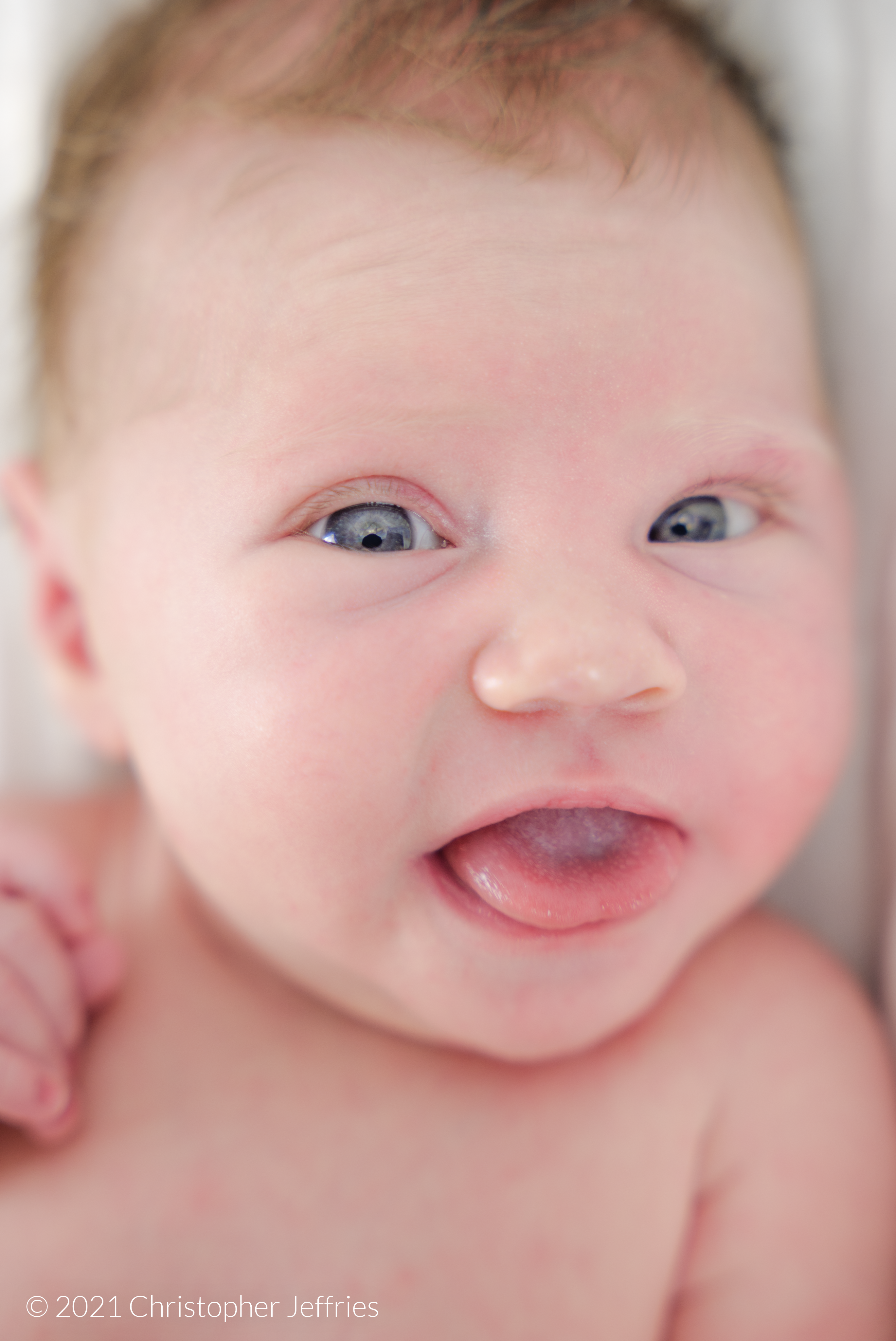 Project Aurora: First Look