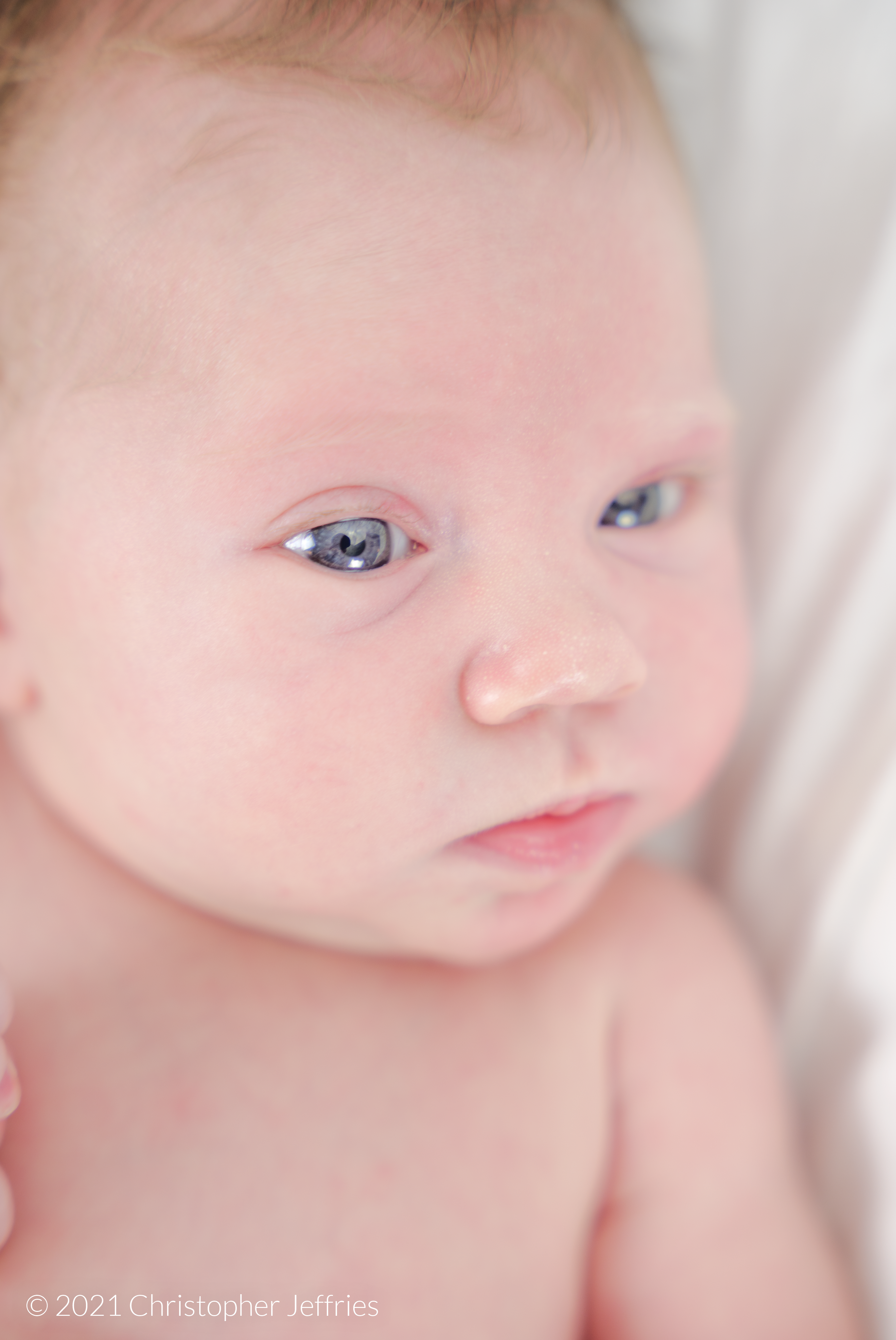 Project Aurora: First Look