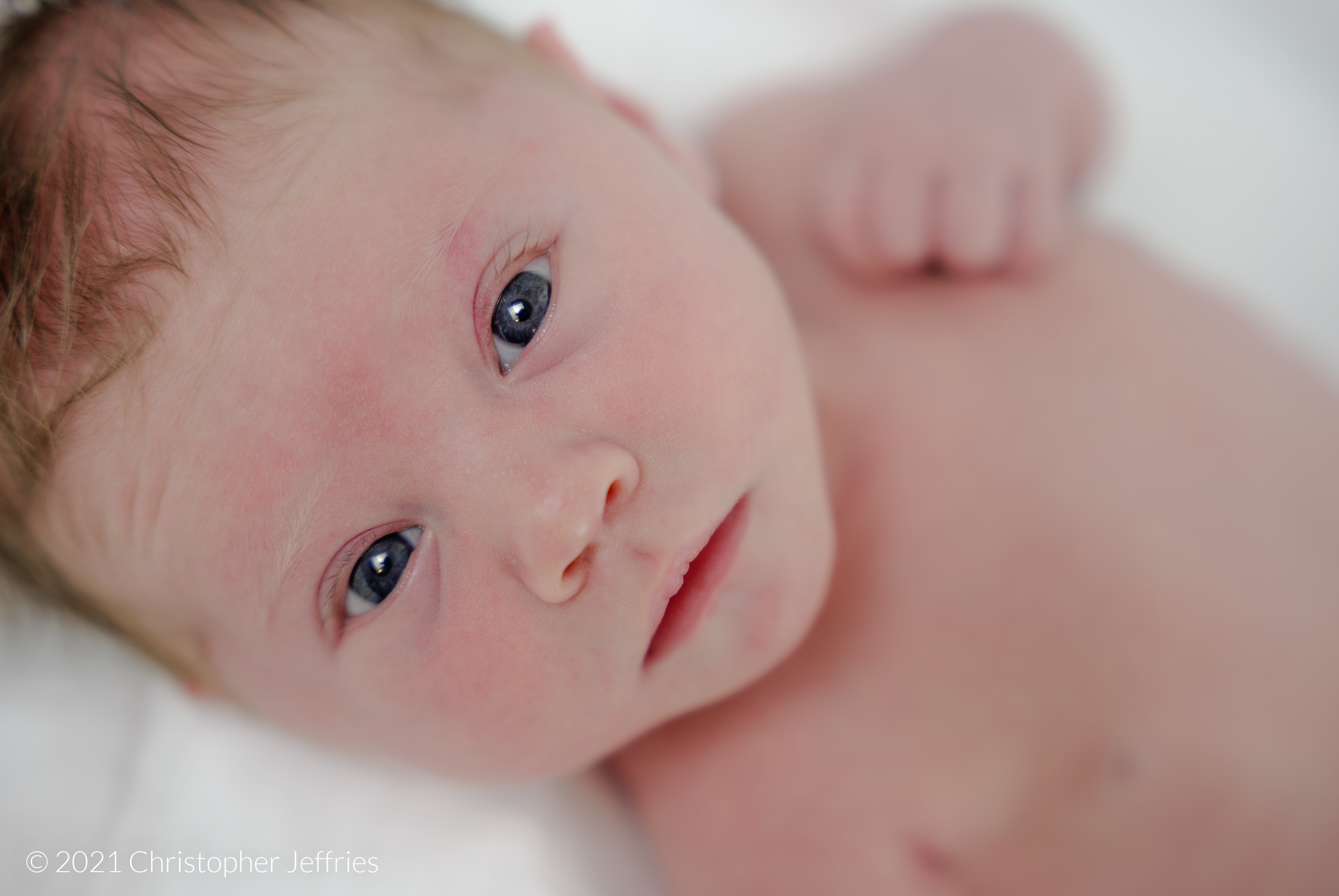 Project Aurora: First Look