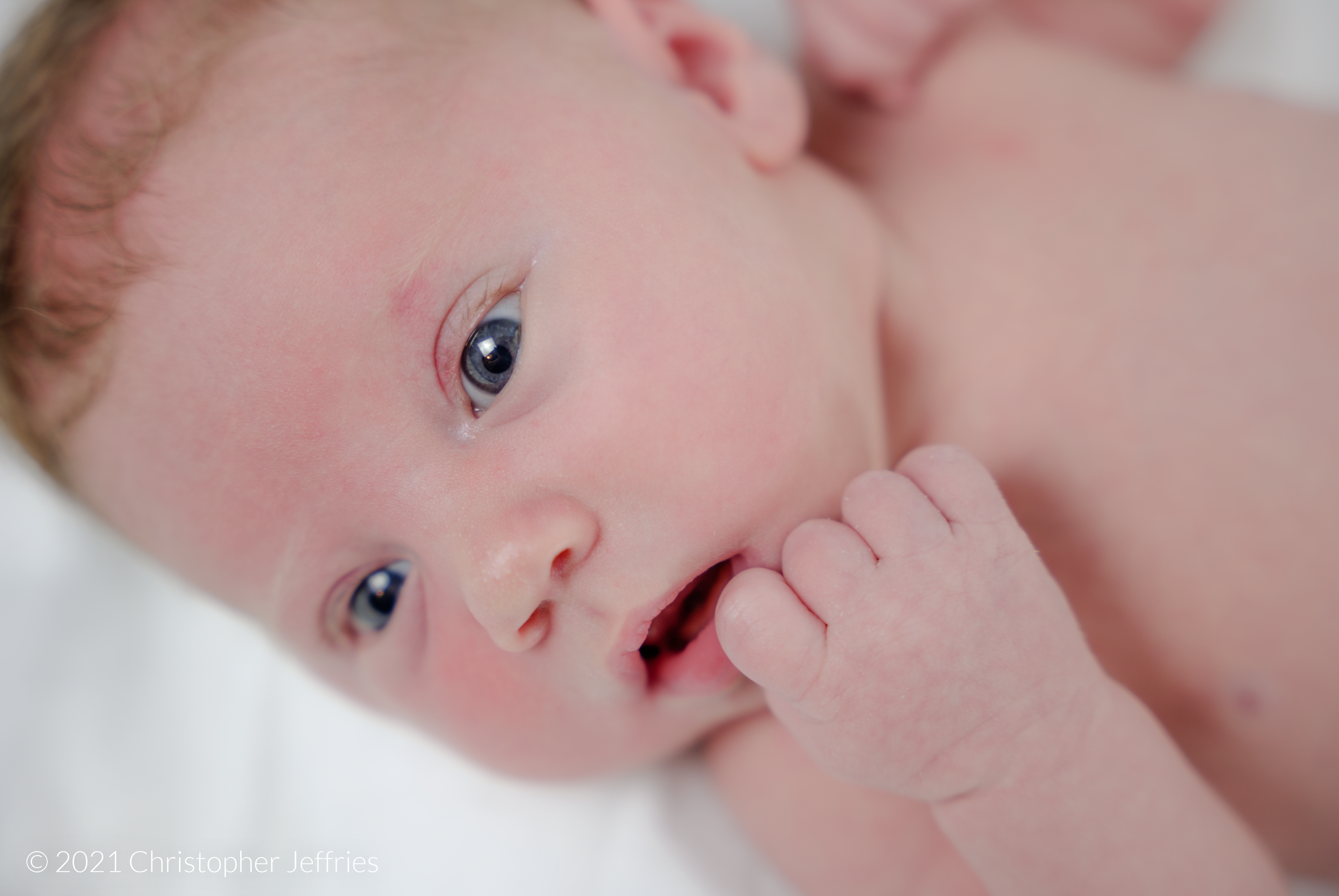 Project Aurora: First Look