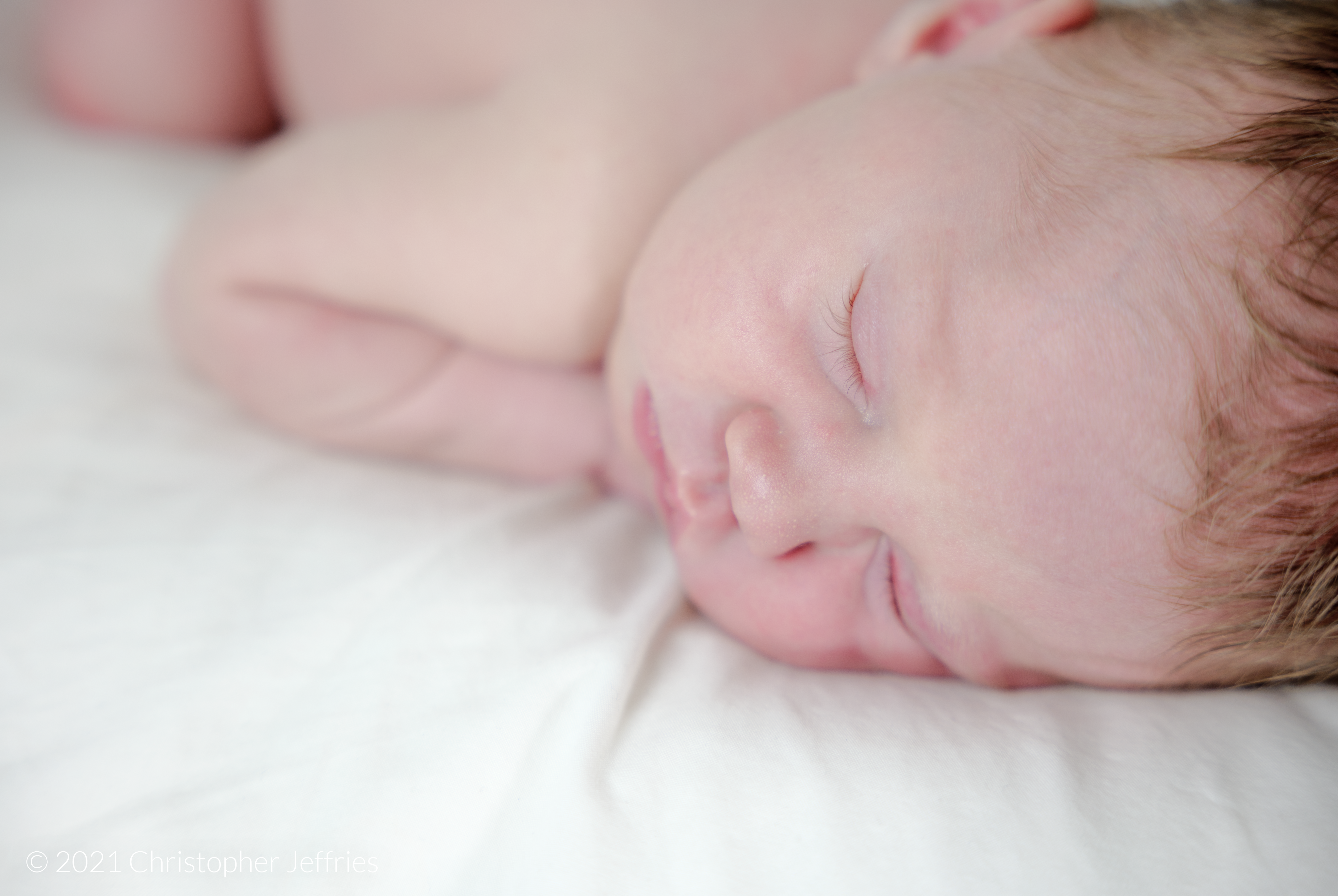 Project Aurora: First Look