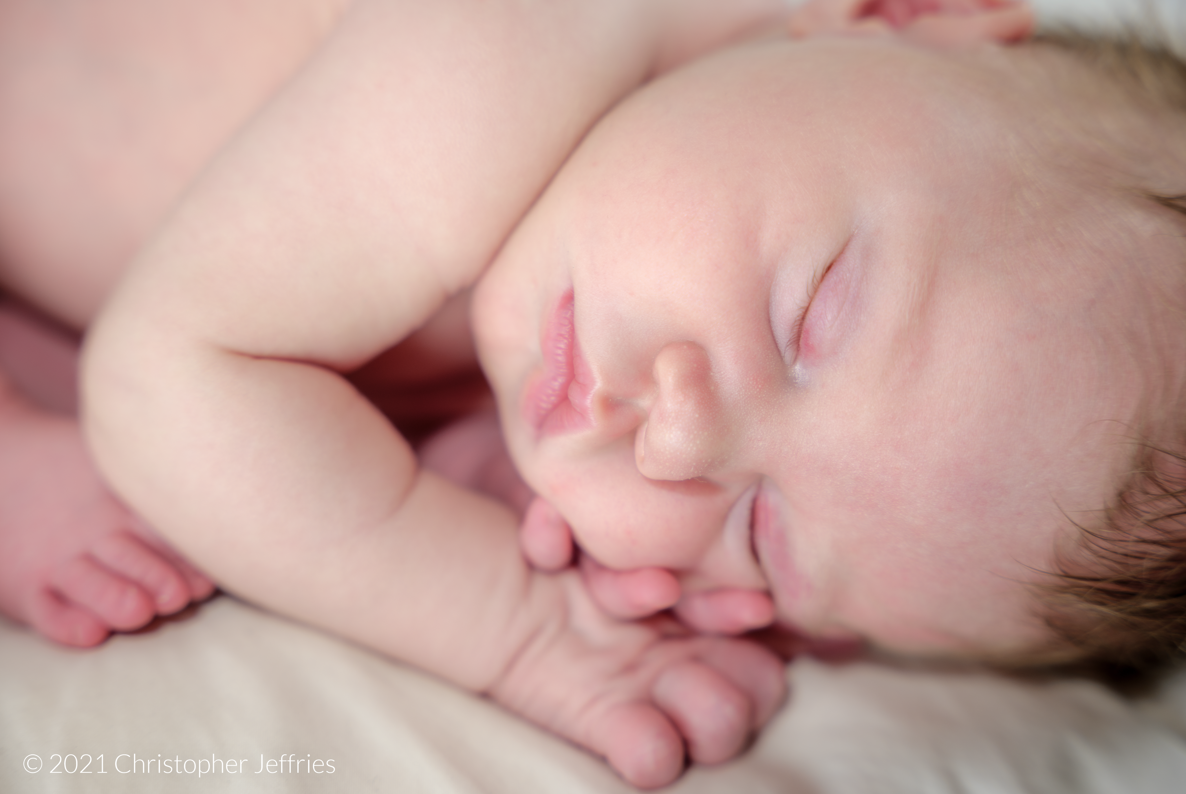 Project Aurora: First Look