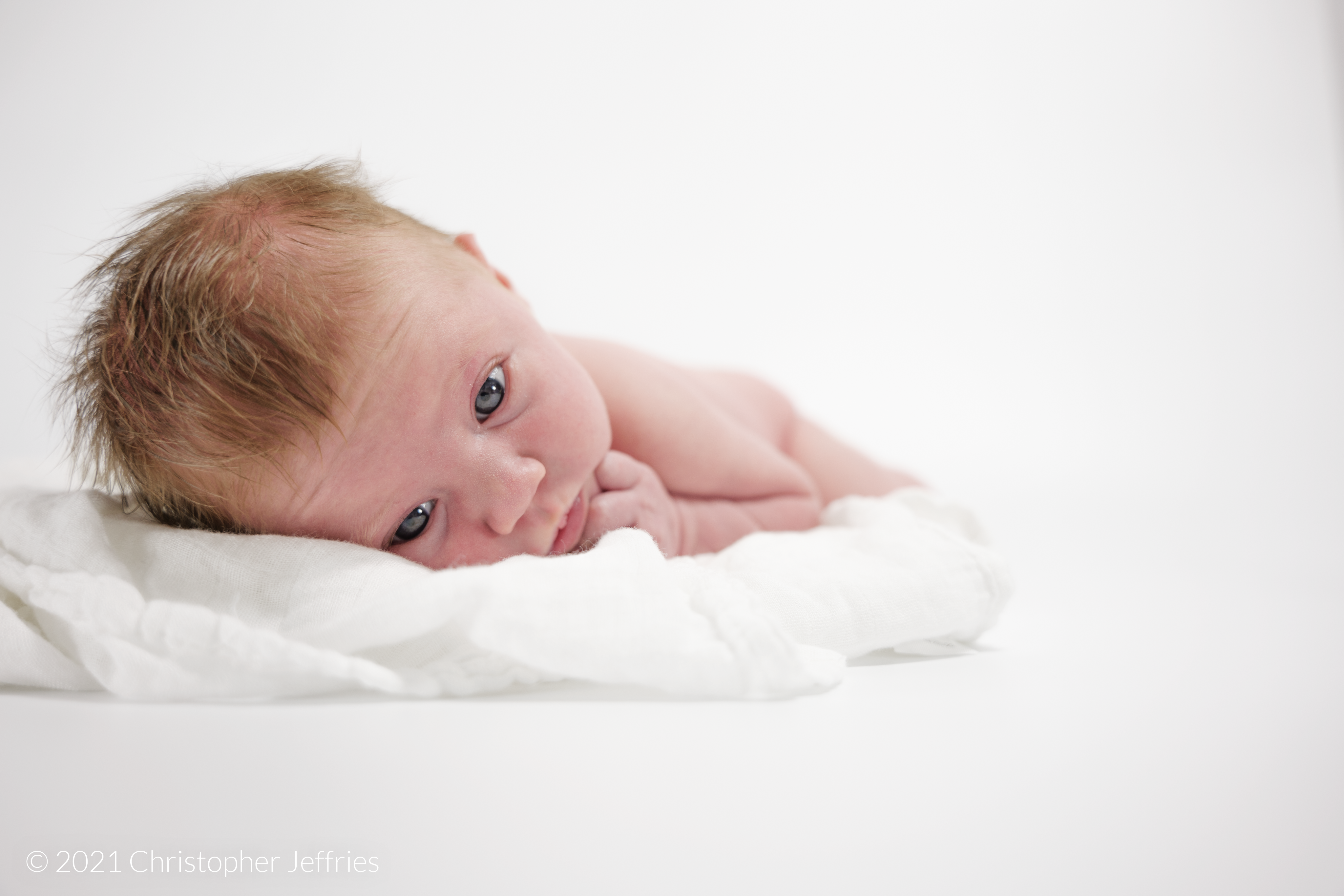 Project Aurora: First Look