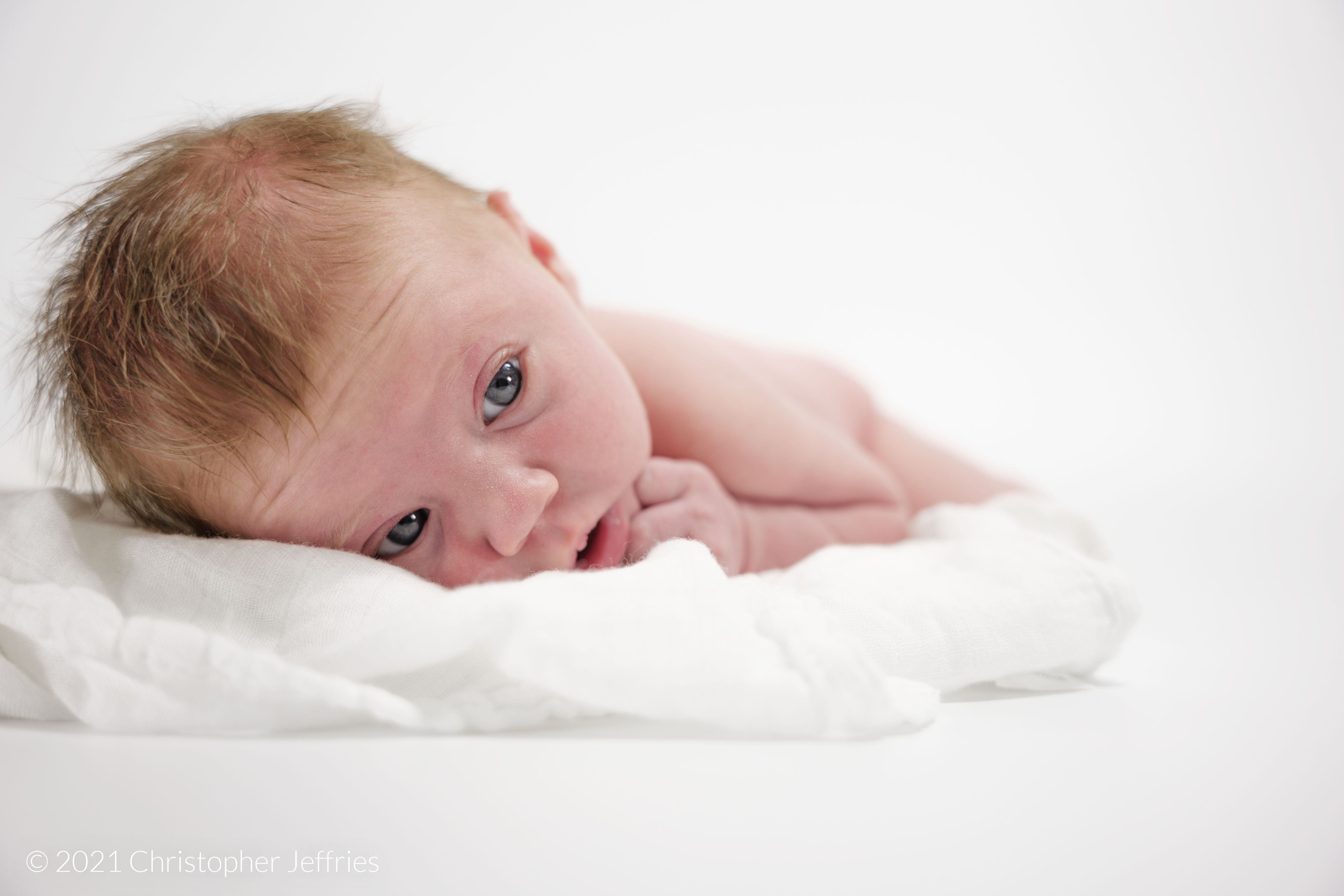 Project Aurora: First Look