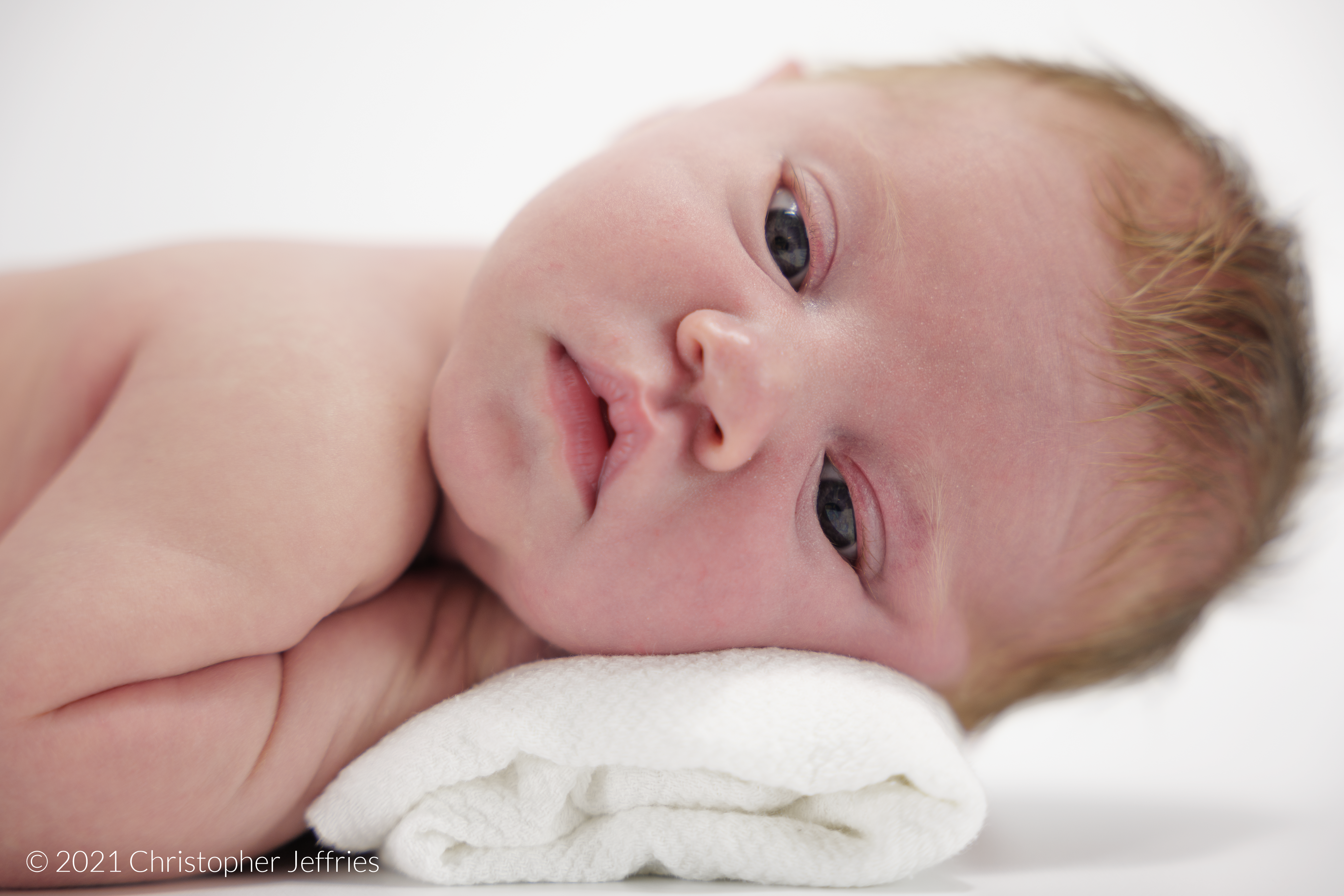 Project Aurora: First Look