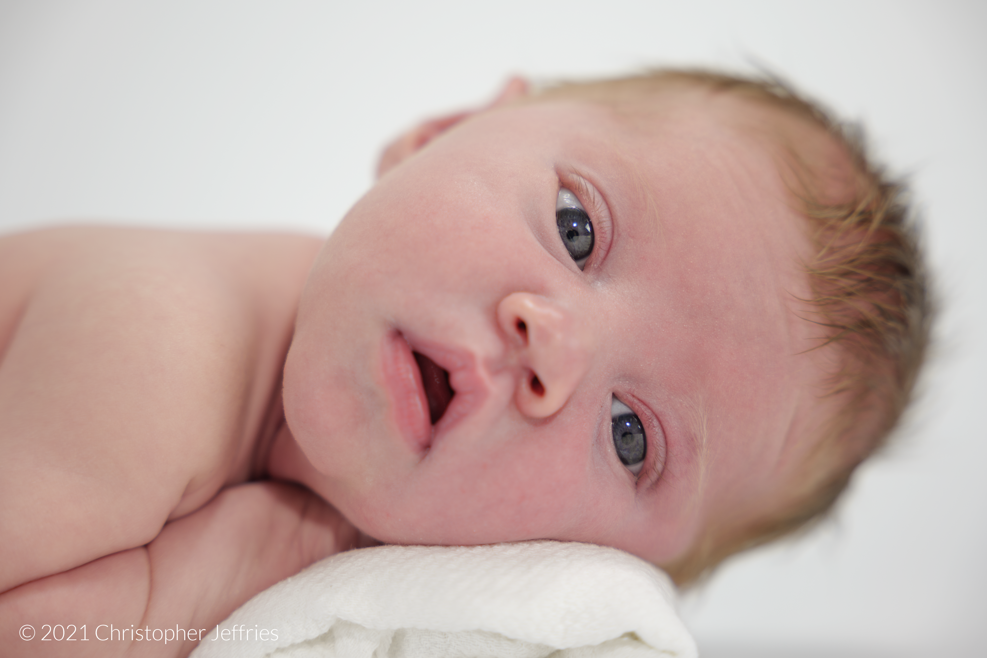 Project Aurora: First Look