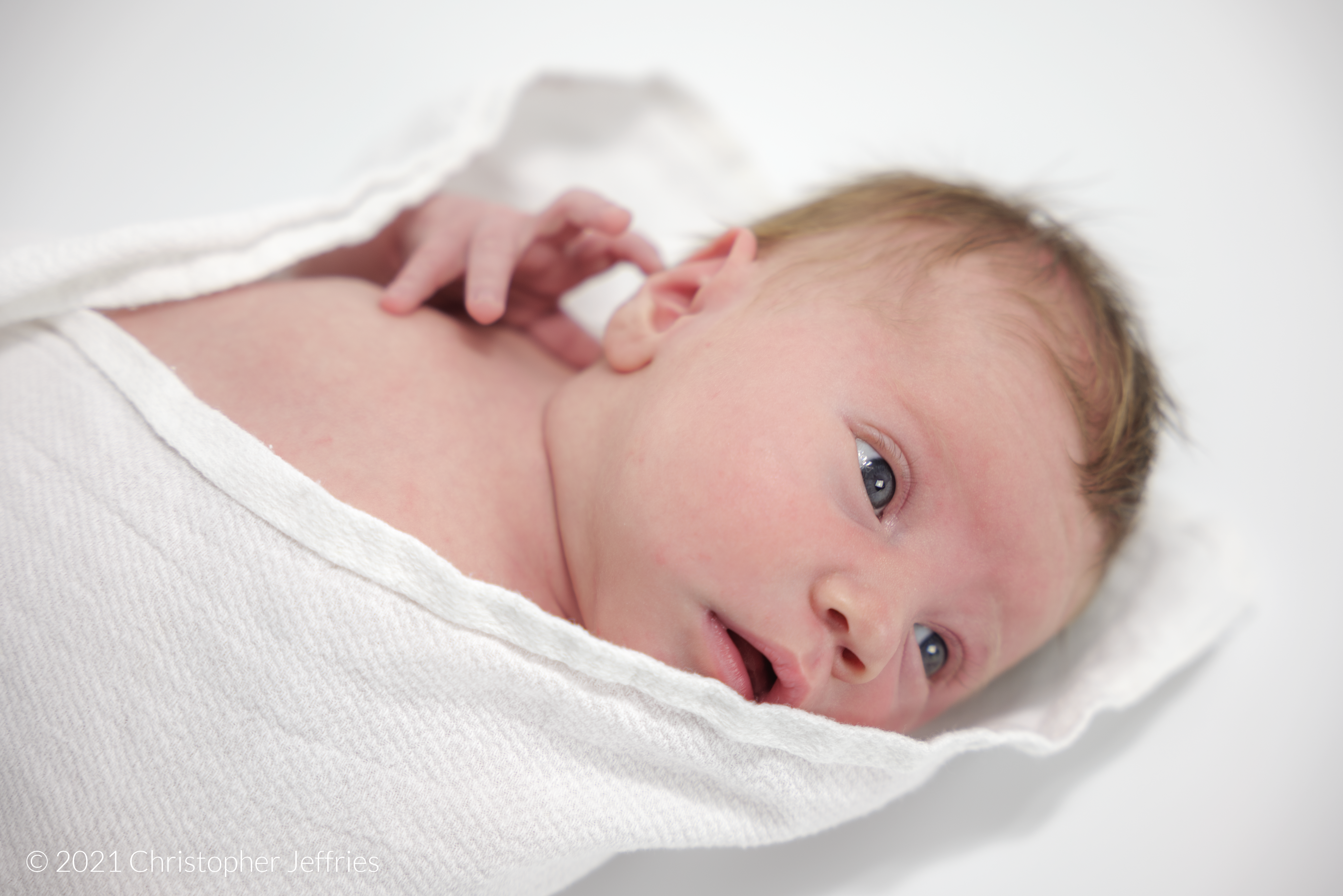 Project Aurora: First Look