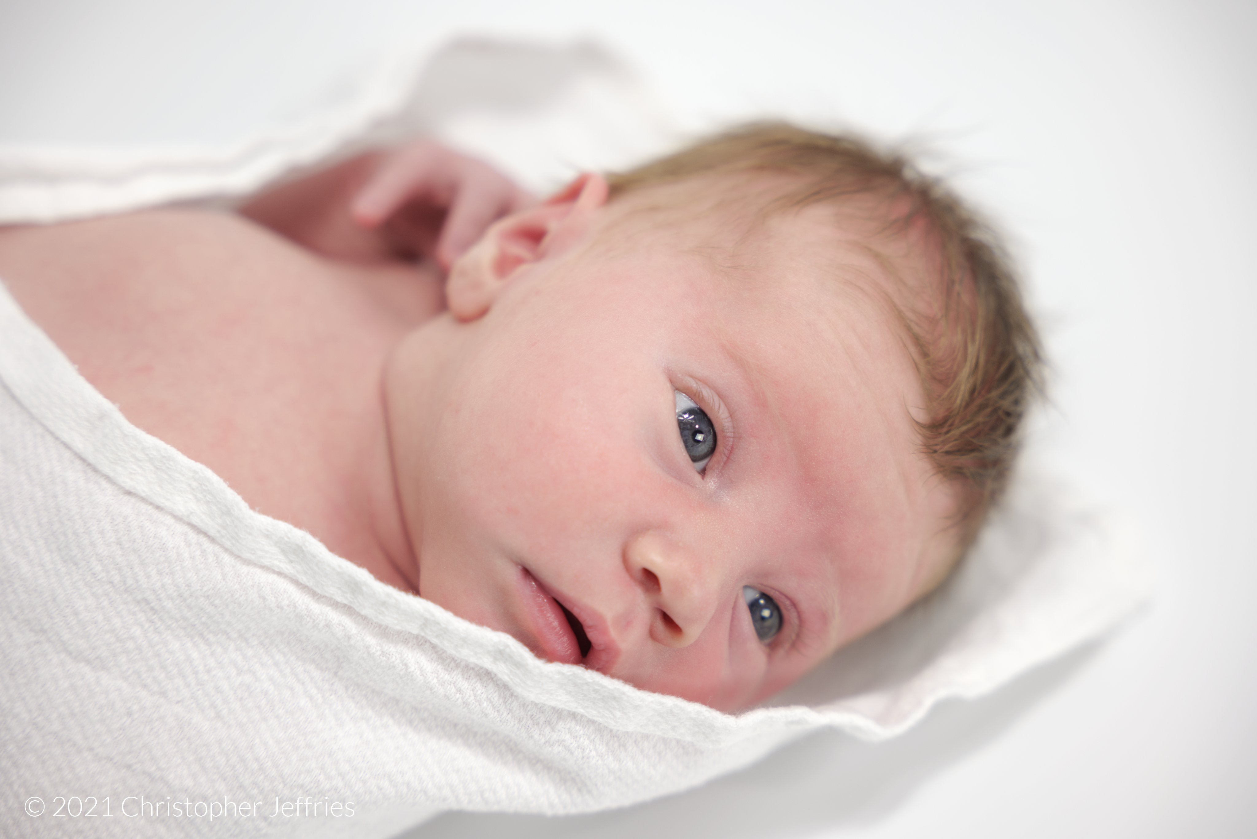 Project Aurora: First Look