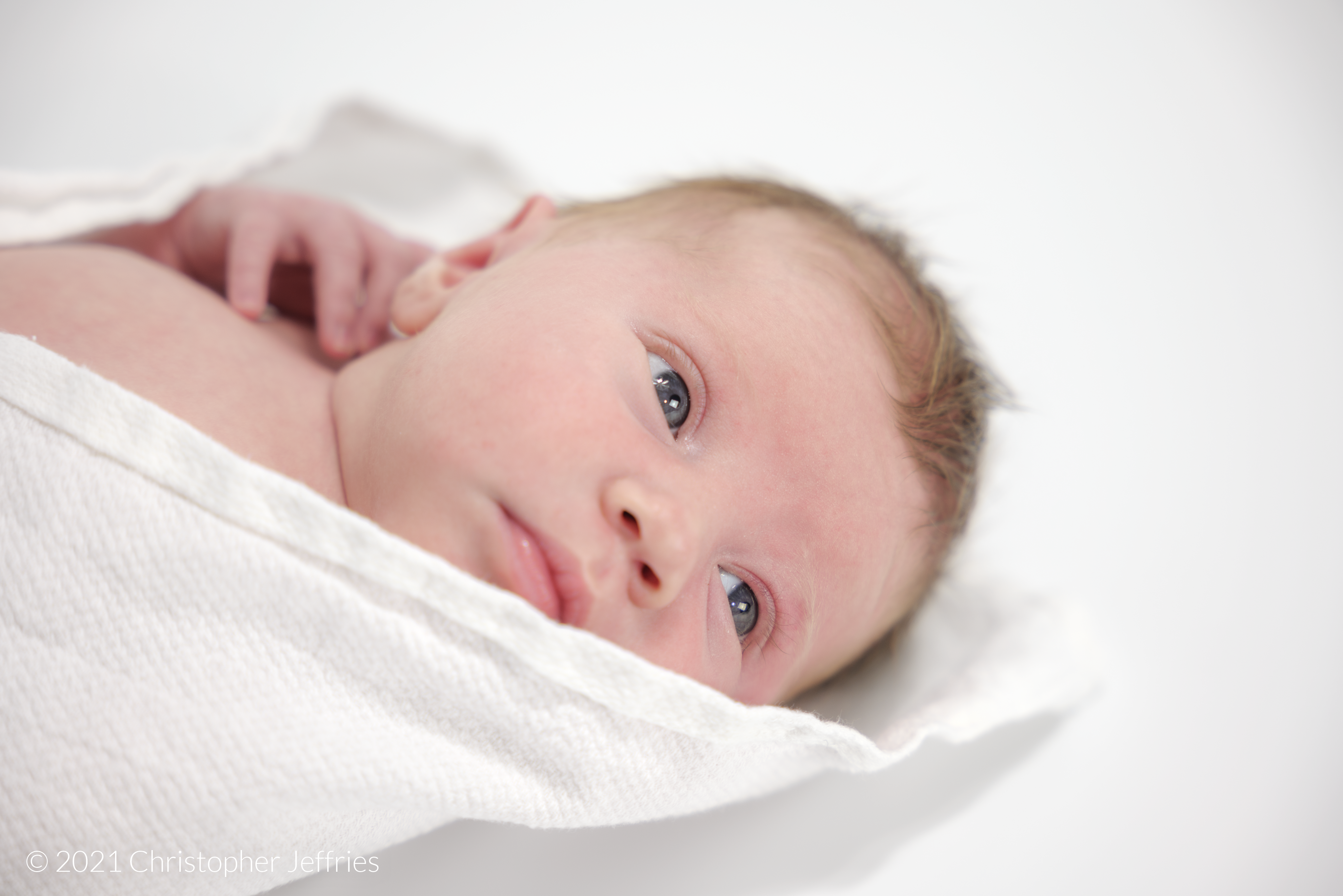 Project Aurora: First Look