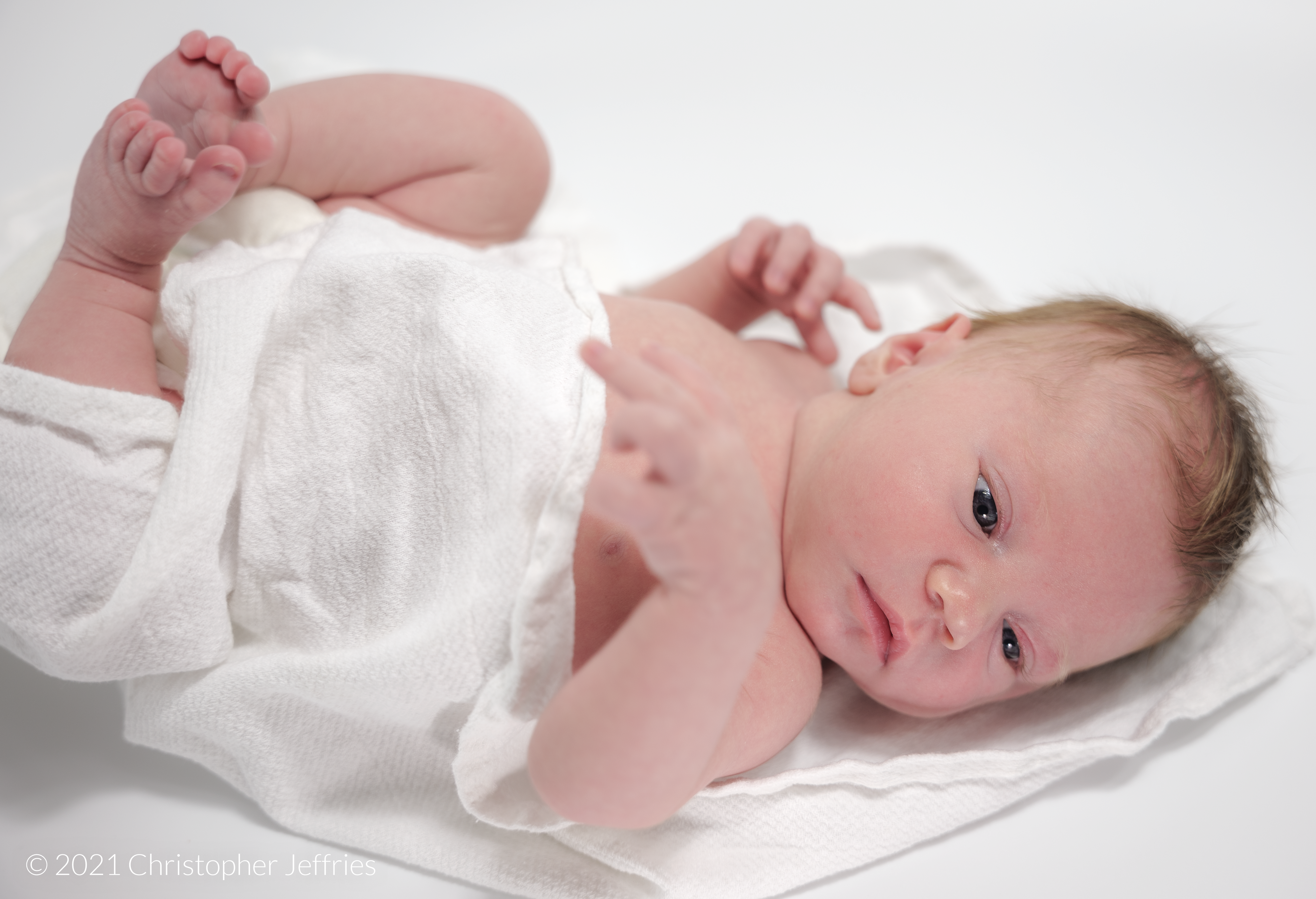 Project Aurora: First Look