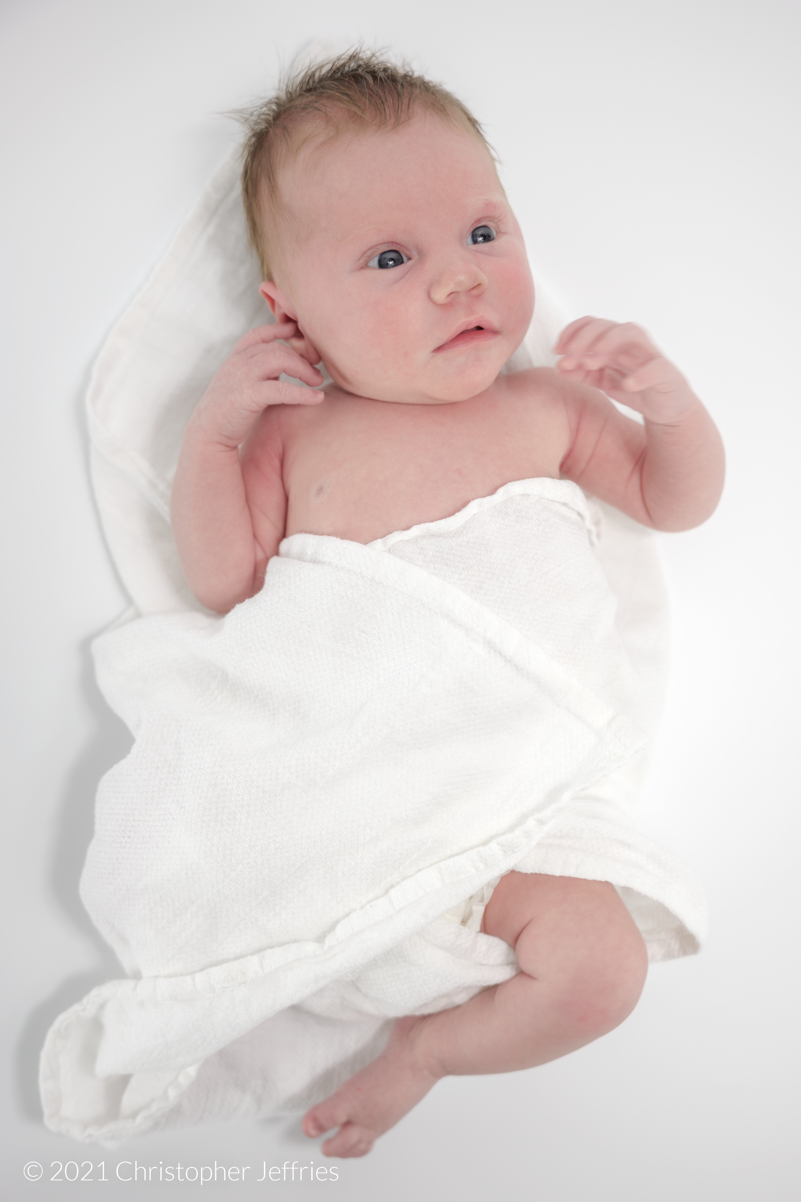 Project Aurora: First Look