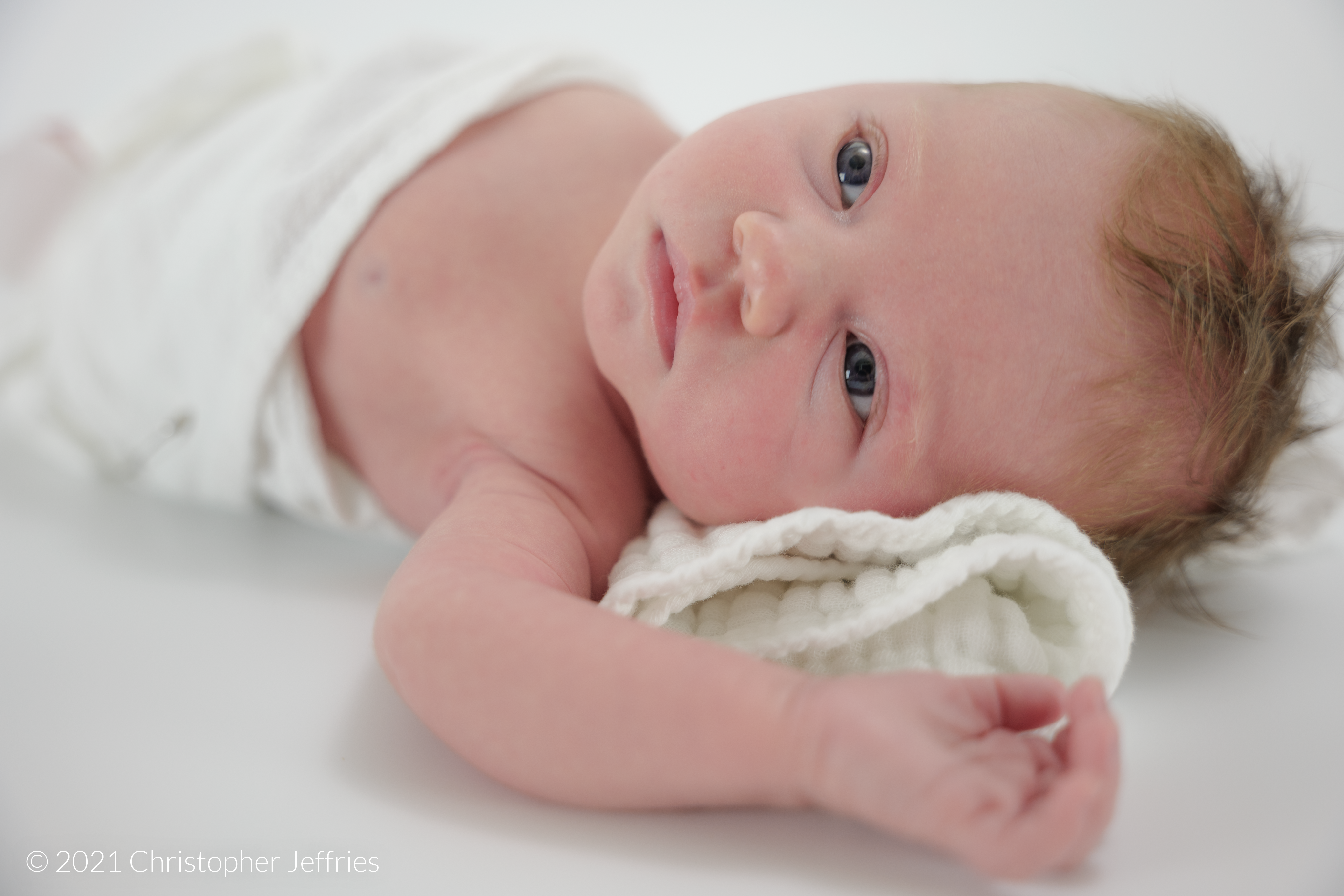 Project Aurora: First Look