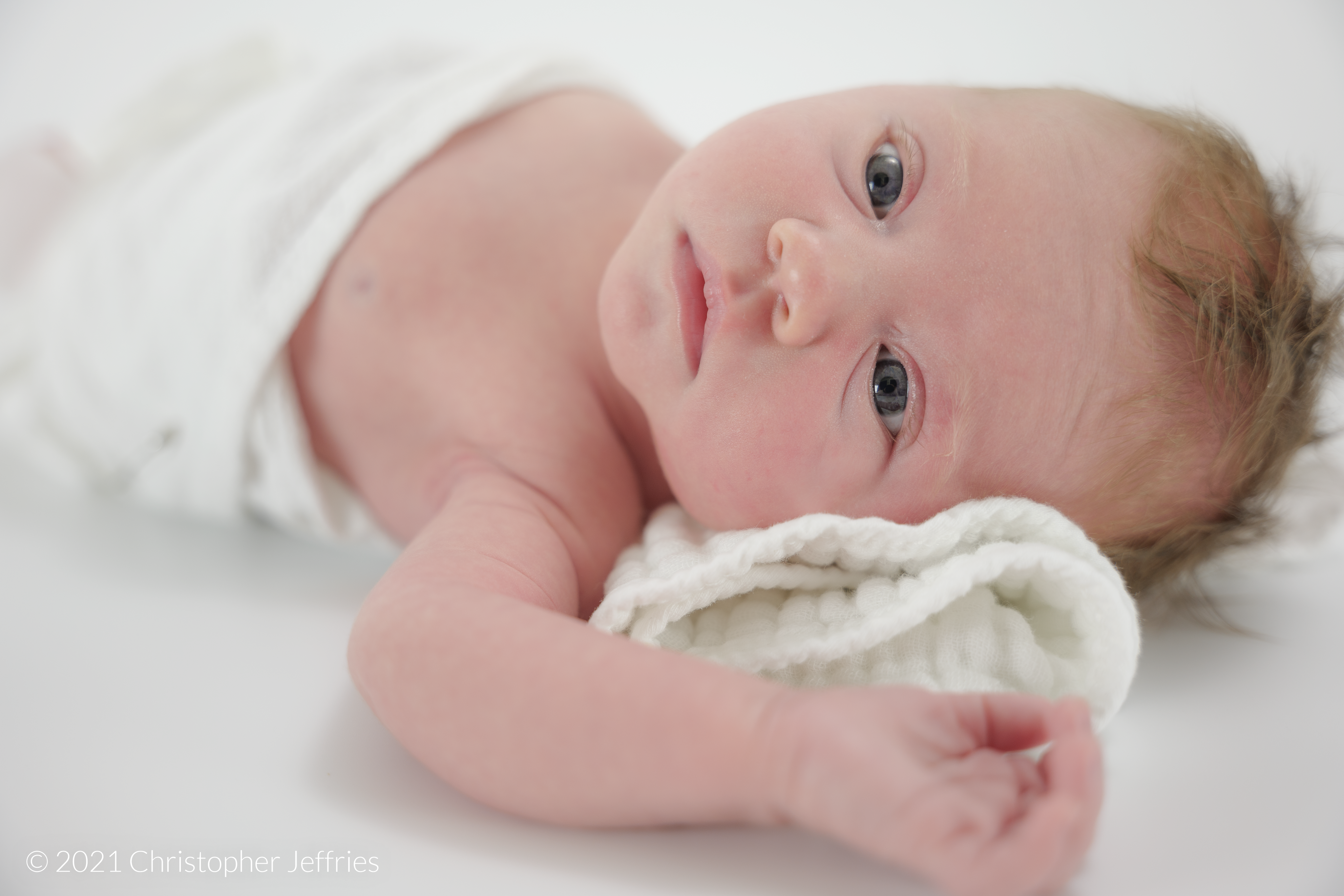 Project Aurora: First Look